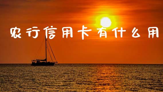 农行信用卡有什么用_https://www.apanben.com_在线喊单_第1张