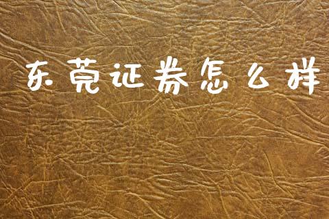 东莞证券怎么样_https://www.apanben.com_期货学院_第1张
