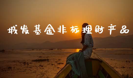 城发基金非标理财产品_https://www.apanben.com_财经资讯_第1张