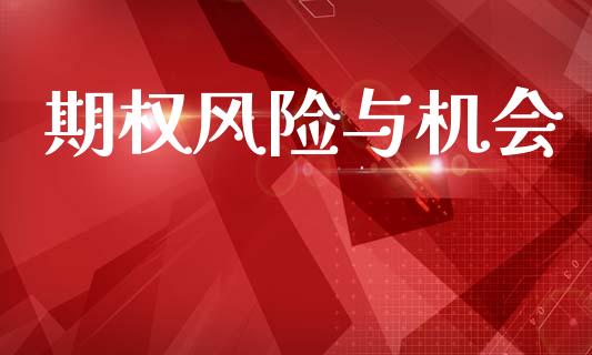 期权风险与机会_https://www.apanben.com_期货学院_第1张