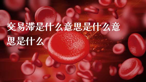 交易滞是什么意思是什么意思是什么_https://www.apanben.com_股票怎么玩_第1张