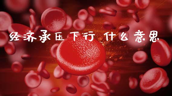 经济承压下行 什么意思_https://www.apanben.com_国际财经_第1张