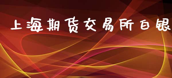上海期货交易所白银_https://www.apanben.com_期货学院_第1张
