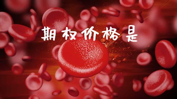 期权价格是_https://www.apanben.com_国际期货_第1张