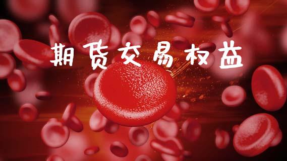期货交易权益_https://www.apanben.com_国际财经_第1张