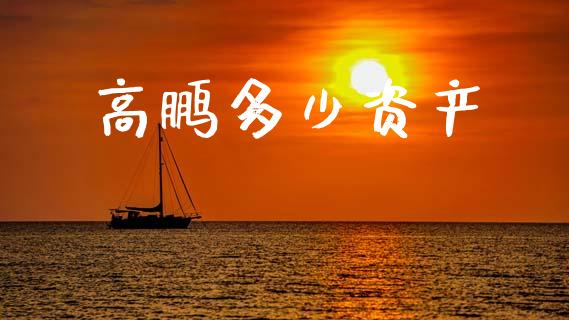 高鹏多少资产_https://www.apanben.com_股票怎么玩_第1张
