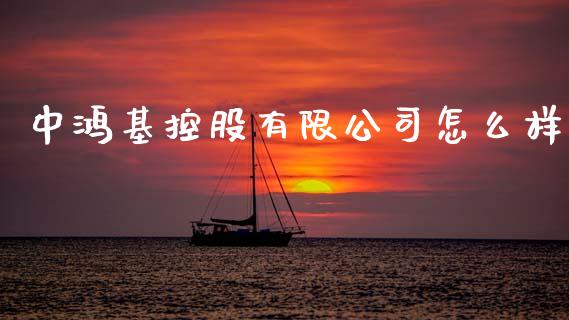 中鸿基控股有限公司怎么样_https://www.apanben.com_国际财经_第1张
