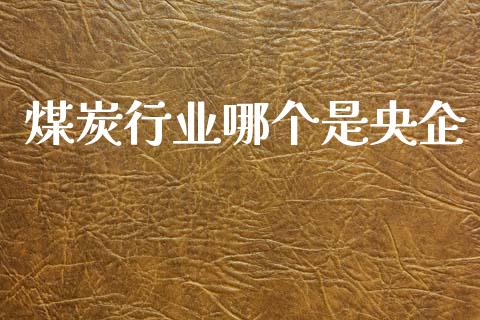 煤炭行业哪个是央企_https://www.apanben.com_国际财经_第1张