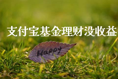 支付宝基金理财没收益_https://www.apanben.com_财经资讯_第1张