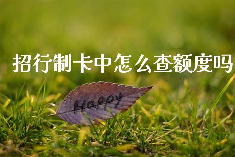 招行制卡中怎么查额度吗_https://www.apanben.com_股票怎么玩_第1张