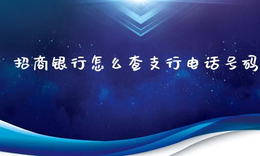 招商银行怎么查支行电话号码_https://www.apanben.com_财经资讯_第1张