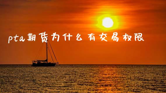 pta期货为什么有交易权限_https://www.apanben.com_股市分析_第1张
