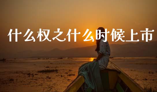 什么权之什么时候上市_https://www.apanben.com_国际财经_第1张