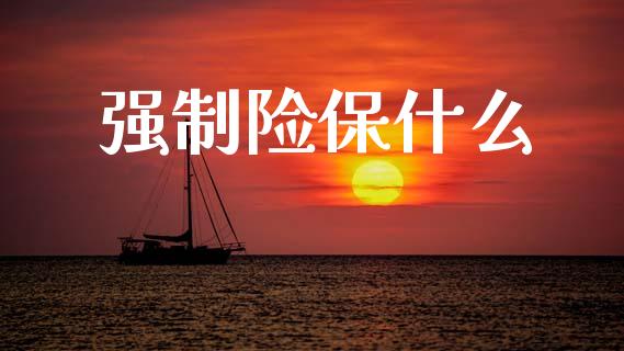 强制险保什么_https://www.apanben.com_在线喊单_第1张