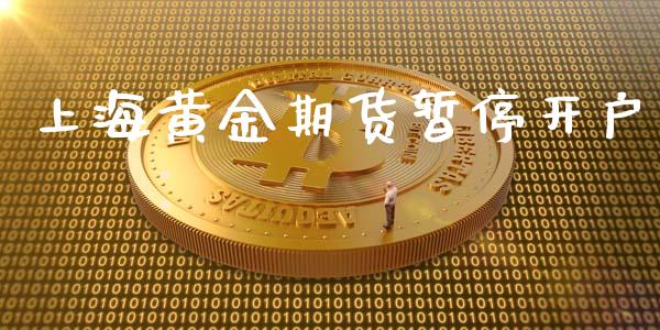 上海黄金期货暂停开户_https://www.apanben.com_国际期货_第1张