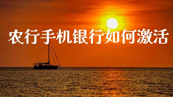 农行手机银行如何激活_https://www.apanben.com_股市分析_第1张