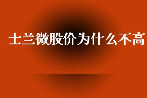 士兰微股价为什么不高_https://www.apanben.com_期货学院_第1张