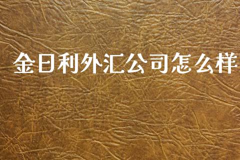 金日利外汇公司怎么样_https://www.apanben.com_国际期货_第1张