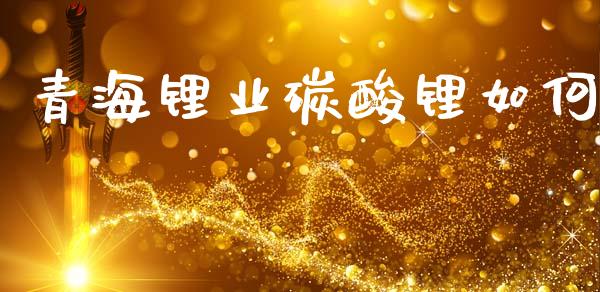青海锂业碳酸锂如何_https://www.apanben.com_在线喊单_第1张