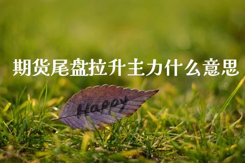 期货尾盘拉升主力什么意思_https://www.apanben.com_国际财经_第1张