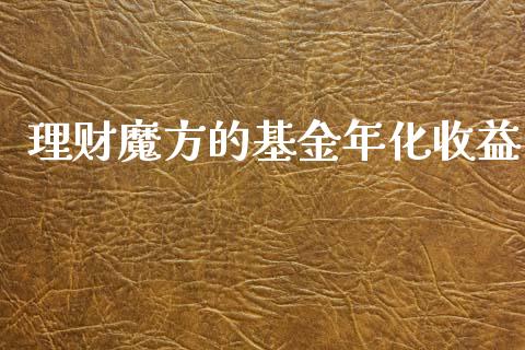 理财魔方的基金年化收益_https://www.apanben.com_财经资讯_第1张