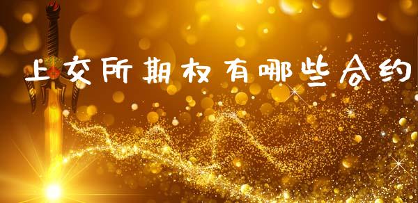 上交所期权有哪些合约_https://www.apanben.com_财经资讯_第1张