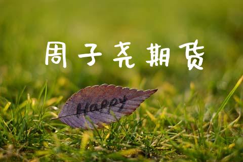 周子尧期货_https://www.apanben.com_股票怎么玩_第1张