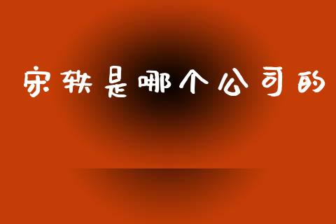 宋轶是哪个公司的_https://www.apanben.com_股票怎么玩_第1张