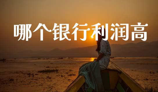 哪个银行利润高_https://www.apanben.com_国际财经_第1张