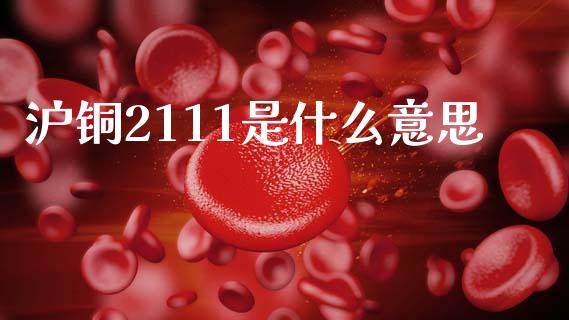 沪铜2111是什么意思_https://www.apanben.com_在线喊单_第1张