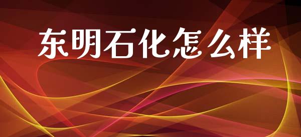 东明石化怎么样_https://www.apanben.com_期货学院_第1张