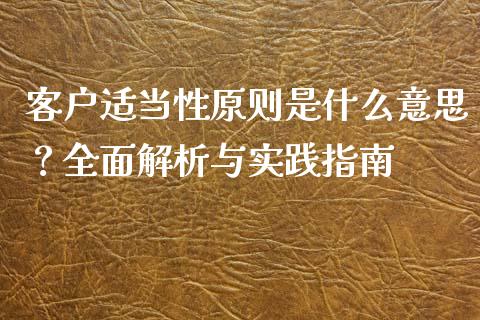 客户适当性原则是什么意思？全面解析与实践指南_https://www.apanben.com_财经资讯_第1张