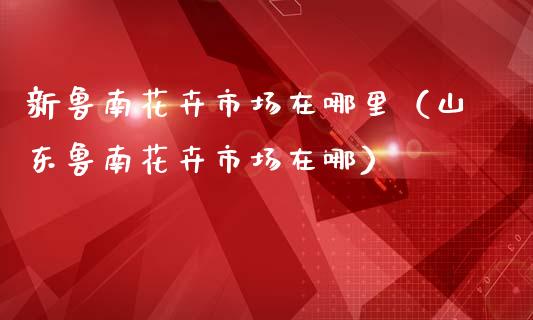 新鲁南花卉市场在哪里（山东鲁南花卉市场在哪）_https://www.apanben.com_期货学院_第1张