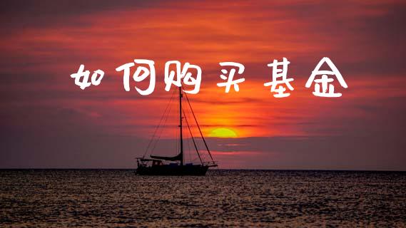 如何购买基金_https://www.apanben.com_期货学院_第1张