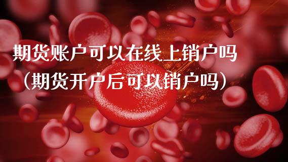 期货账户可以在线上销户吗（期货开户后可以销户吗）_https://www.apanben.com_在线喊单_第1张