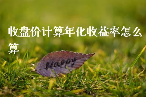 收盘价计算年化收益率怎么算_https://www.apanben.com_期货学院_第1张