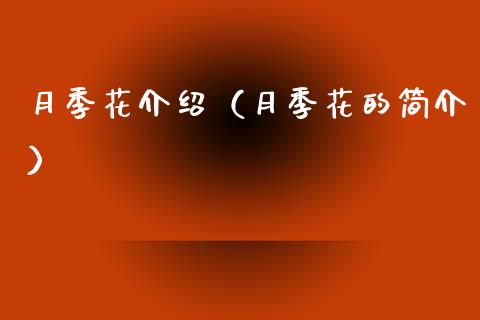 月季花介绍（月季花的简介）_https://www.apanben.com_期货学院_第1张