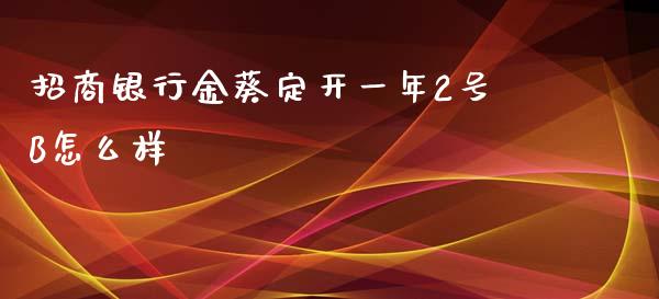 招商银行金葵定开一年2号B怎么样_https://www.apanben.com_期货学院_第1张