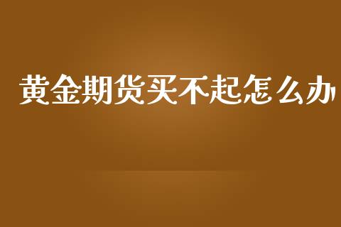黄金期货买不起怎么办_https://www.apanben.com_期货学院_第1张