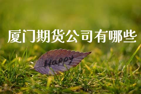 厦门期货公司有哪些_https://www.apanben.com_期货学院_第1张
