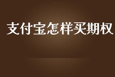 支付宝怎样买期权_https://www.apanben.com_期货学院_第1张