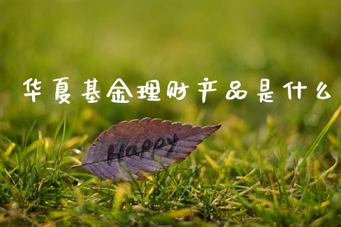 华夏基金理财产品是什么_https://www.apanben.com_国际财经_第1张