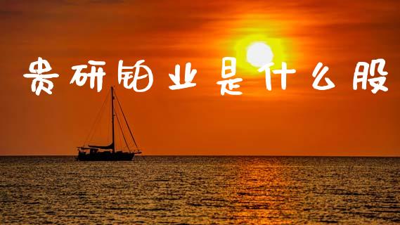 贵研铂业是什么股_https://www.apanben.com_财经资讯_第1张