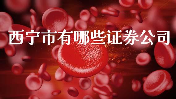 西宁市有哪些证券公司_https://www.apanben.com_股市指导_第1张