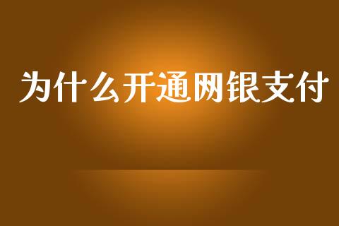 为什么开通网银支付_https://www.apanben.com_期货学院_第1张