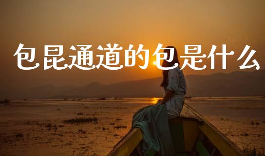 包昆通道的包是什么_https://www.apanben.com_期货学院_第1张