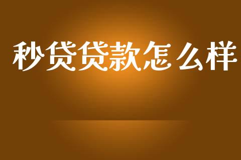 秒贷贷款怎么样_https://www.apanben.com_国际财经_第1张