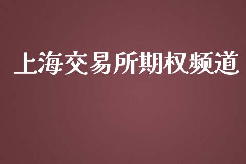 上海交易所期权频道_https://www.apanben.com_期货学院_第1张