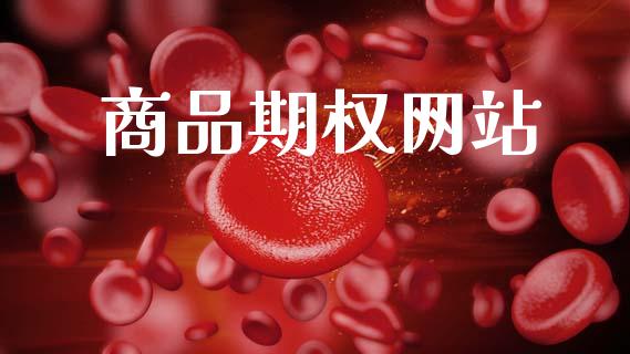 商品期权网站_https://www.apanben.com_期货学院_第1张