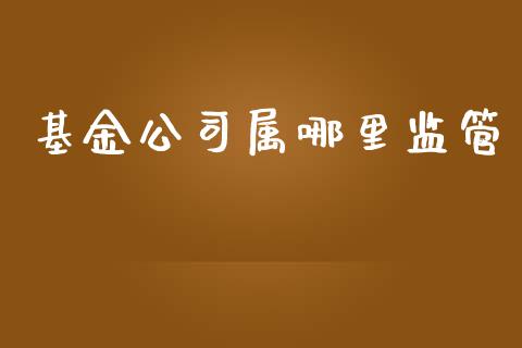 基金公司属哪里监管_https://www.apanben.com_股市指导_第1张
